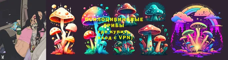 Псилоцибиновые грибы Magic Shrooms Вихоревка